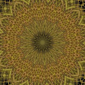 Kaleidoskop in Braun- und Grüntönen