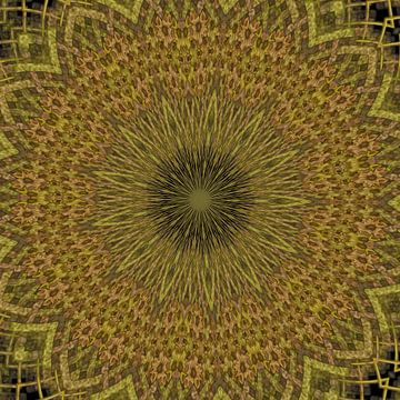 Kaleidoskop in Braun- und Grüntönen von Carla van Zomeren