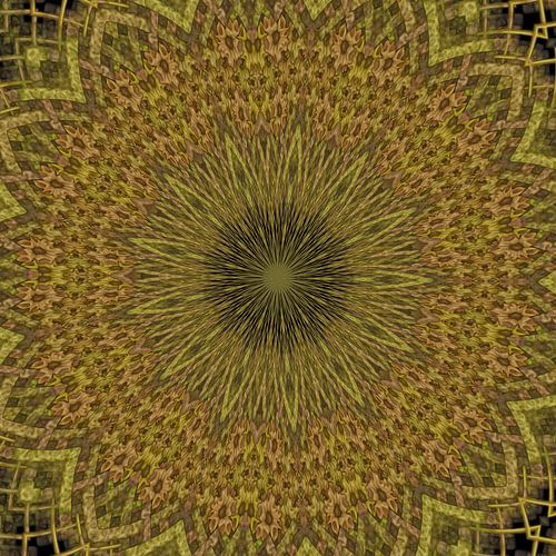 Caleidoscoop in bruin en groen tinten