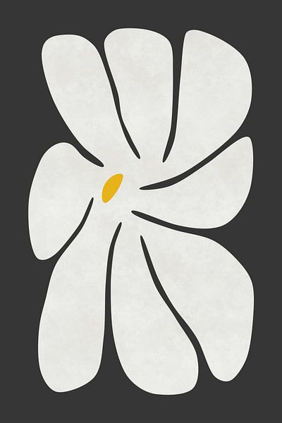 White Daisy by amini54 