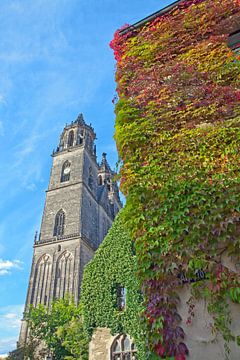 Indian Summer at Magdeburg Cathedral by t.ART