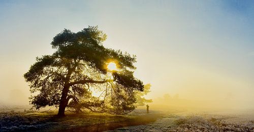 Natuurreservaat de Renderklippen
