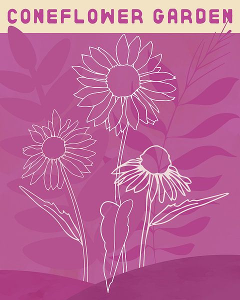 Echinacea-Garten