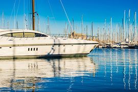 Jachthaven van Palma de Mallorca, met uitzicht op de beroemde kathedraal van Alex Winter