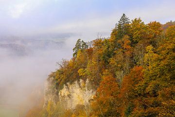 Bunte Herbstbäume, Kalksteinfelsen und Nebelschwaden im Donautal bei Fridingen - Naturpark Obere Donau von BlattArt - Christine Horn