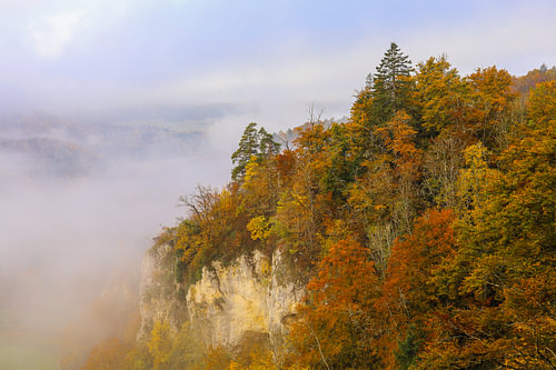 Kleurrijke herfstbomen, kalksteenrotsen en mist in de Donauvallei bij Fridingen - Natuurpark Opper-Donau