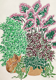 Vibrant Potted Plants by Rushati Chowdhury