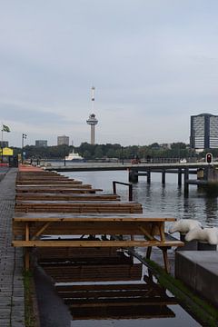 Picknickbanken op de Kop van Zuid in Rotterdam met de Euromast van Studio LE-gals