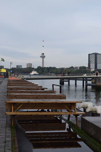 Picknickbanken op de Kop van Zuid in Rotterdam met de Euromast