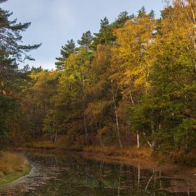 Herfst op Heidestein van Bert van Wijk