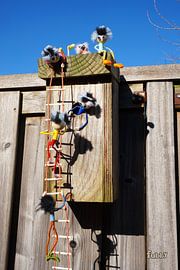 Vogelhäuschen, das von Vogelbeobachtern in Form von Fubby Dolls bestiegen wird. von Sailographic Paula