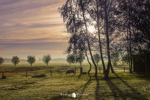 Verstilde Schoonheid: Zonsopkomst boven Harfsen