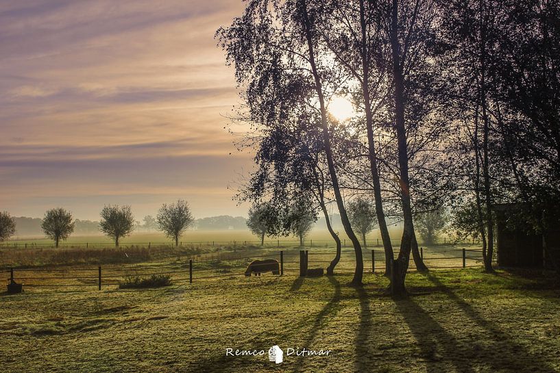 Tranquil Beauty: Sunrise over Harfsen by Remco Ditmar