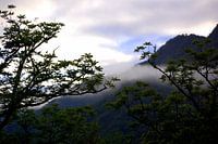 Misty mountains