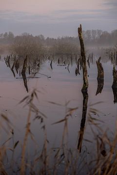 Mysterieuze foto van de zonsopkomst in de winter van Lydia