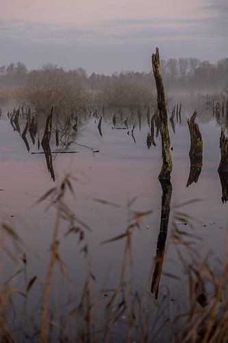 Mysterieuze foto van de zonsopkomst in de winter