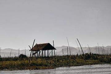 Floating Gardens, Inle Lake by Marianne Kiefer PHOTOGRAPHY