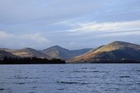 Loch Lomond, the Trossachs, meertje in Schotland