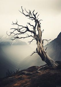 Raue Landschaft