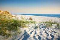 Dream beach