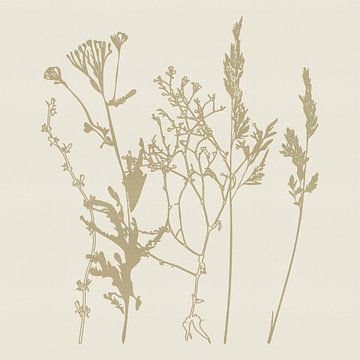 Planten in zacht beige met papierstructuur van Dina Dankers