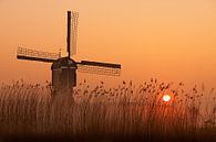 Windmühle bei Sonnenaufgang von Halma Fotografie Miniaturansicht