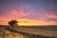 Asselse Heide