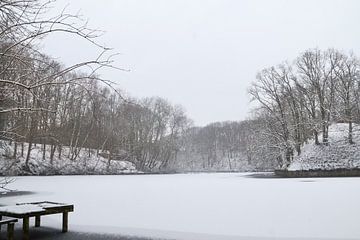 Bevroren meer met laagje sneeuw van victor truyts