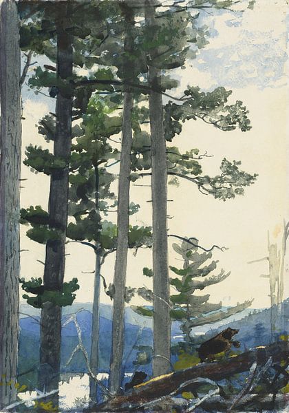 Winslow Homer-Oude Settlers by finemasterpiece