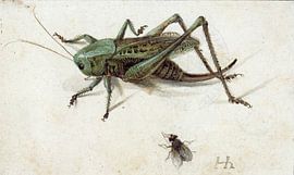 A Grasshopper, Beneath Which a Fly, Hans Hoffmann