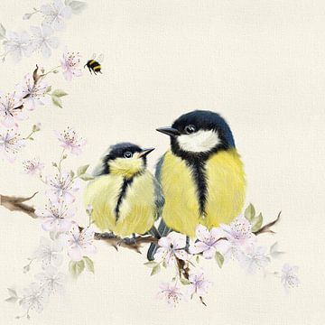 Young great tit with parent on blossom branch