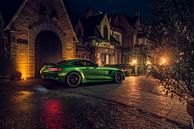 Beast of the Green Hell by Gijs Spierings thumbnail