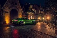 Beast of the Green Hell