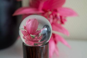 Een betoverende glazen bol met de magische  medinella bloem! van JoeSaCreaties