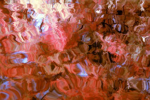 Reflets aquatiques