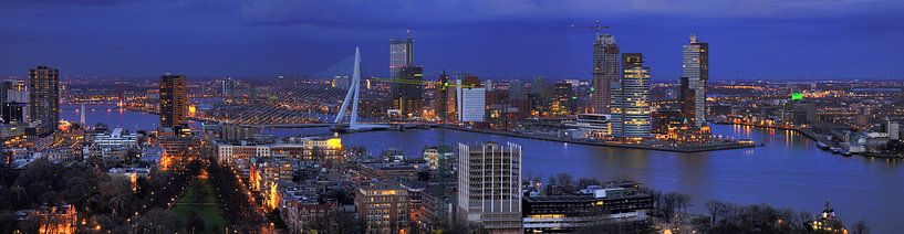 Skyline Rotterdam van Peet de Rouw