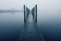 Fog on the Dock.