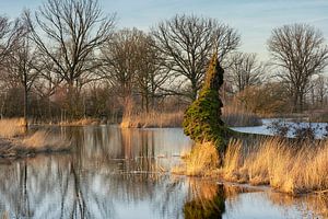 Schöner Wintertag an der Empese und Tondense Heide