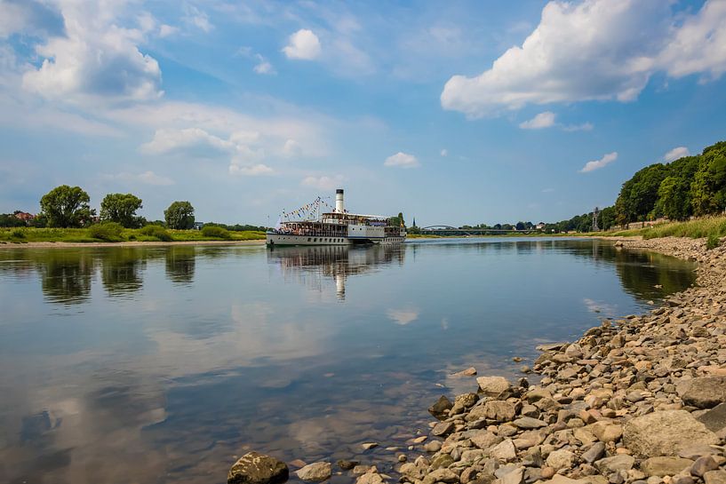 Die Elbe bei Dresden von Sabine Wagner