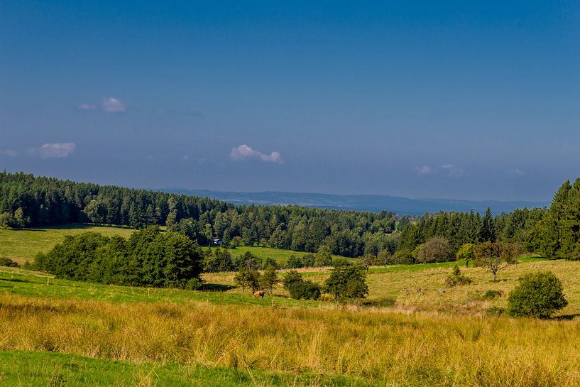 Prachtig landschap bij het Knüllfeld/Thüringer Woud van Oliver Hlavaty