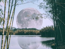 Lunar Serenity by Artistic