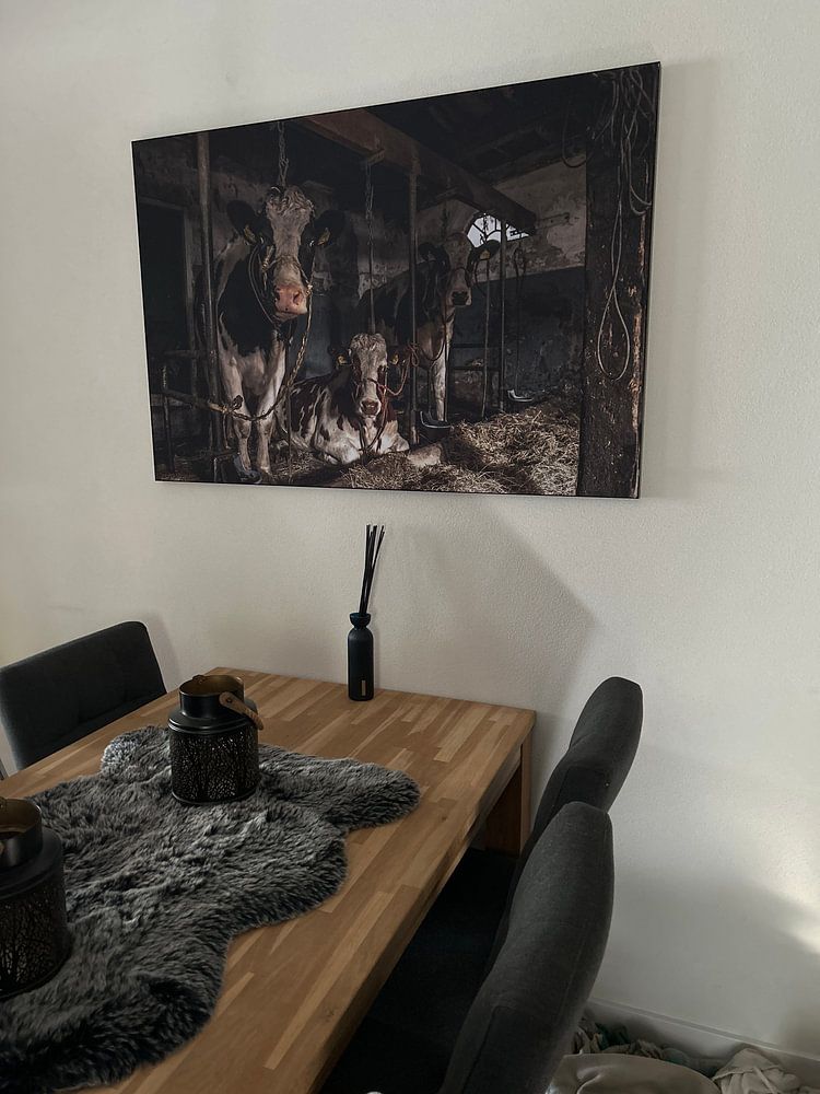 Kuhe im alten Kuhstal  von Inge Jansen 