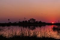 De zonsondergang