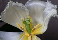 Like silk