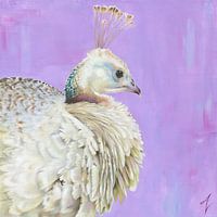 Witte Pauw