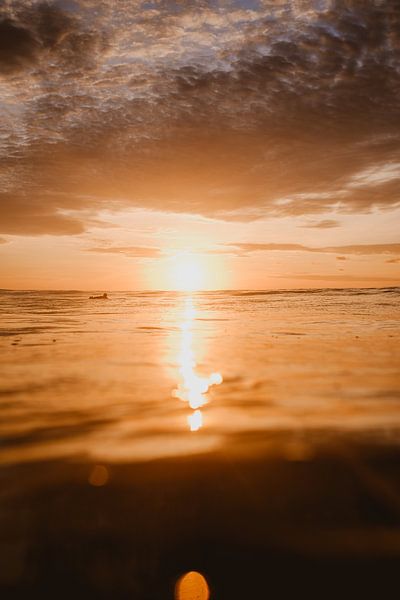 Surfen in Mentawai 3 von Andy Troy