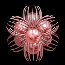 Fractal van Rosa Fotoart thumbnail