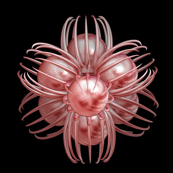 Fractal van Rosa Fotoart