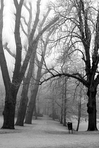 Noorderplantsoen in de Winter 10