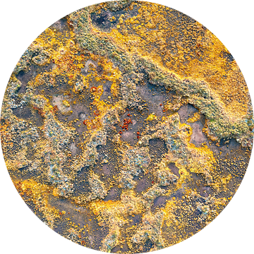 Kleurrijk abstract moeraslandschap van bovenaf gezien. van Jeroen Kleiberg